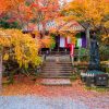 今熊野観音寺の紅葉　